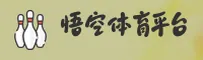 悟空体育(KONG)官方网站 · 极速畅玩 · A9X2